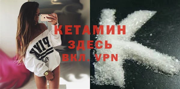 сатива Белокуриха
