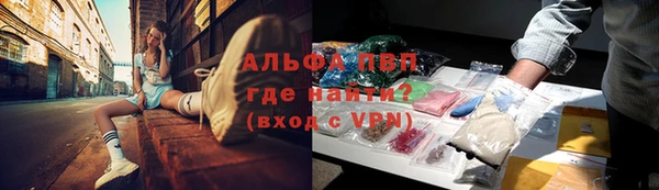 сатива Белокуриха
