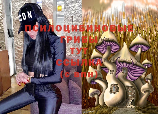 твердый Белоозёрский