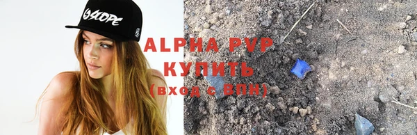 сатива Белокуриха