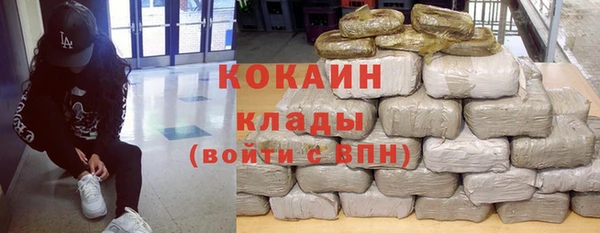 сатива Белокуриха