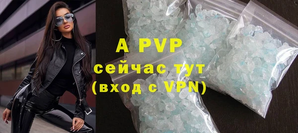 сатива Белокуриха