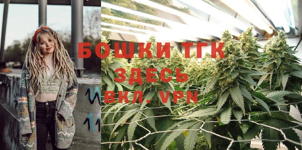 сатива Белокуриха